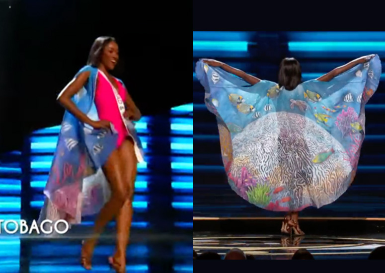 GALLERY Miss Universe 2022 candidates showcase personalized capes in